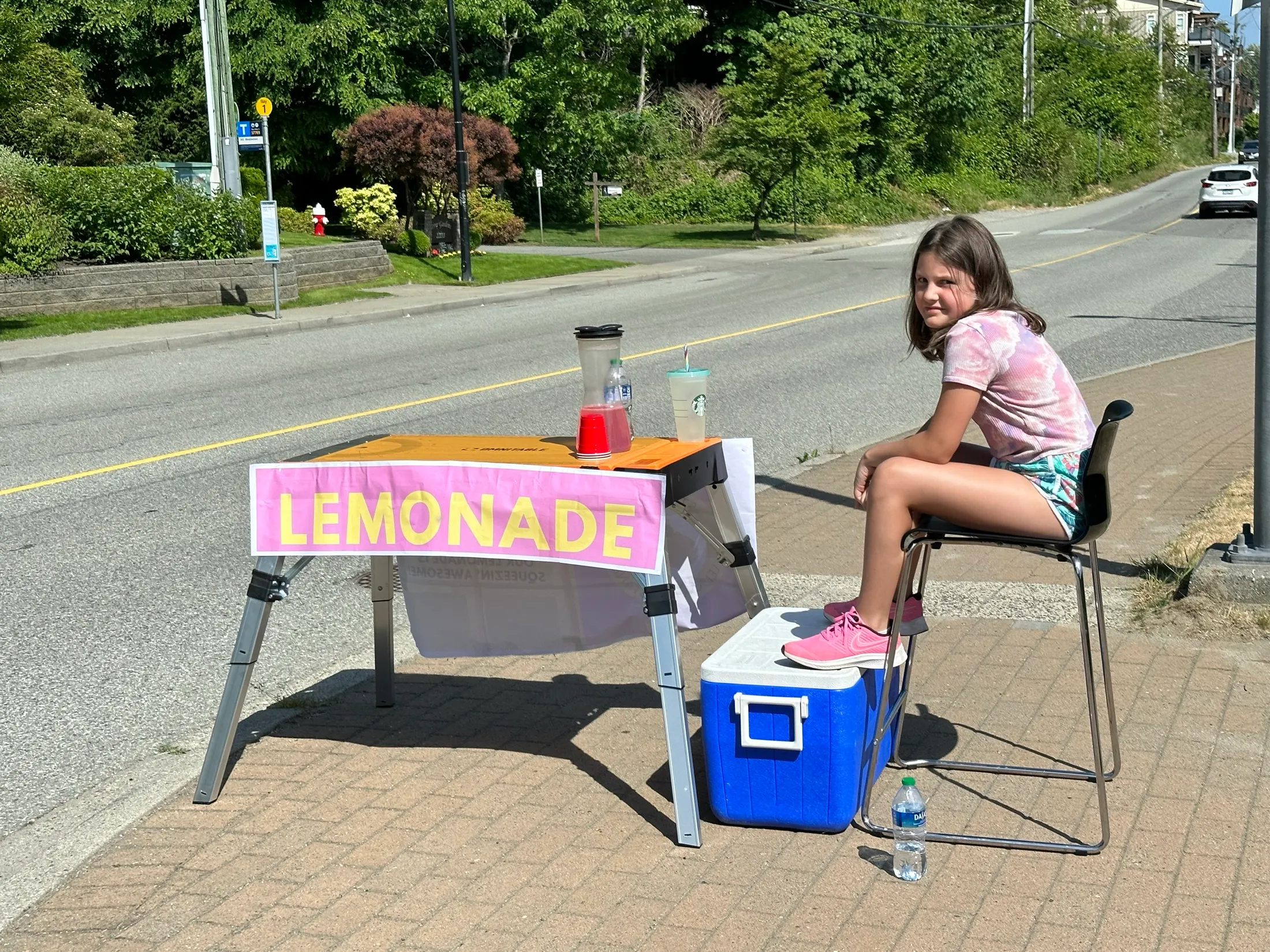 Stella at her busier Day 2 roadside stand with a big LEMONADE sign.