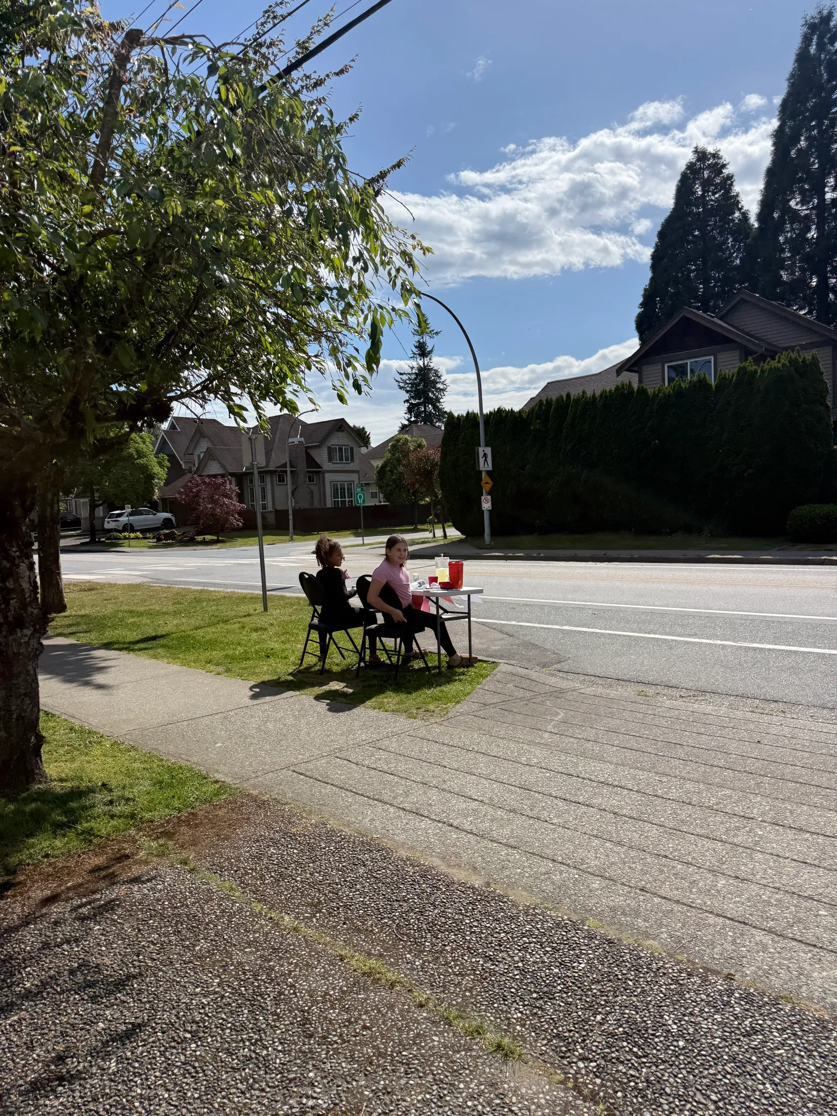 Stella and a friend running the lemonade stand at a sunny street corner, with lemonade, iced tea and freezies on the table.